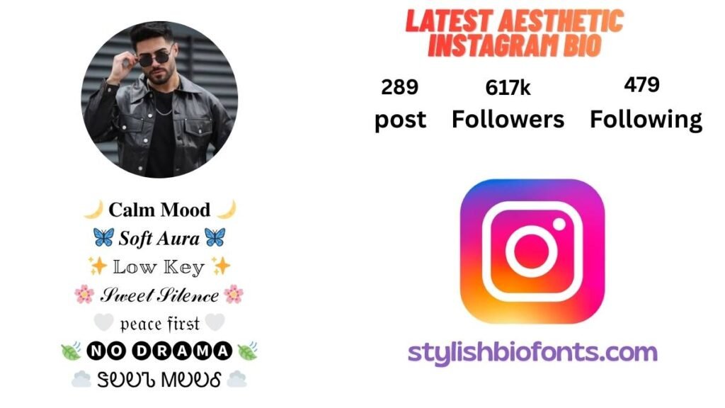 Aesthetic Fonts for Instagram Bio