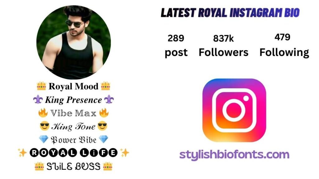 Stylish Font for Instagram Bio