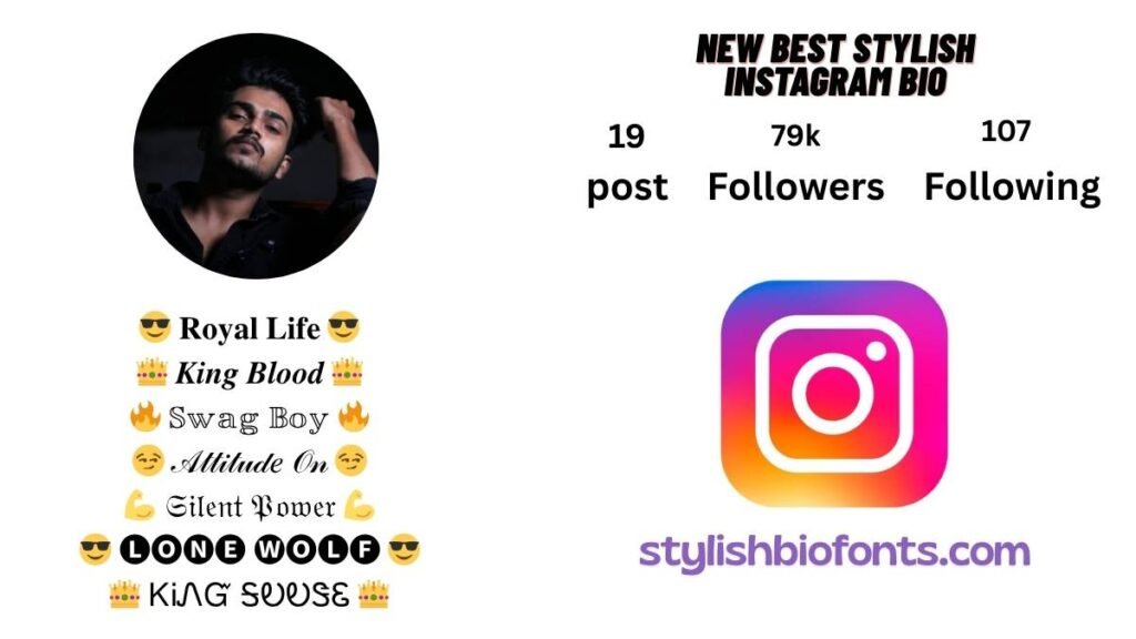 instagram stylish bio