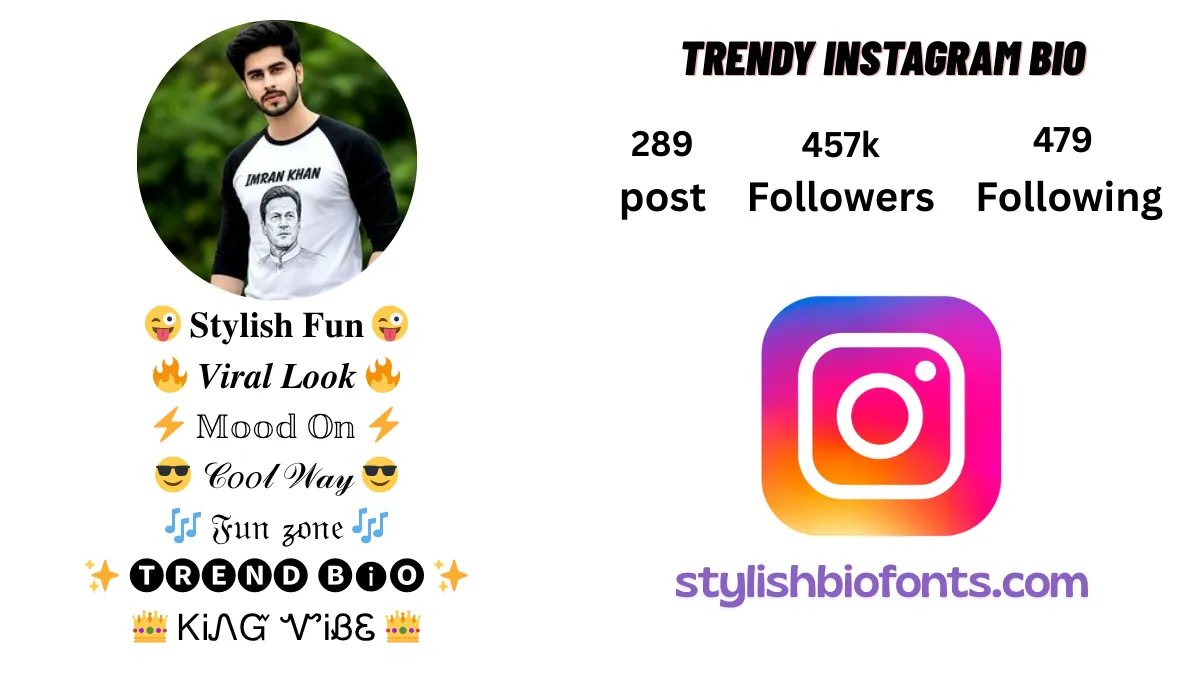Instagram Bio Font