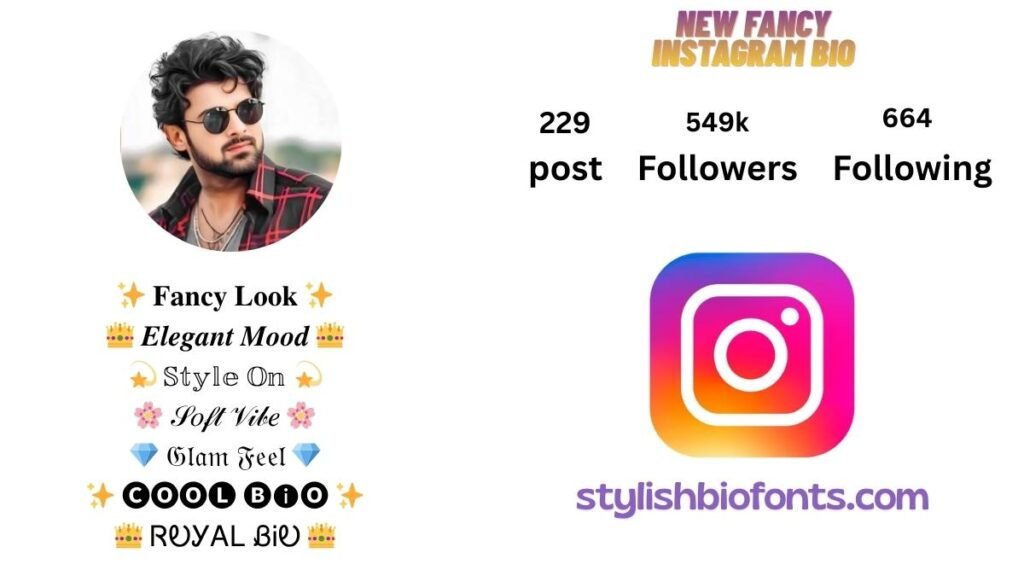 fancy instagram bio