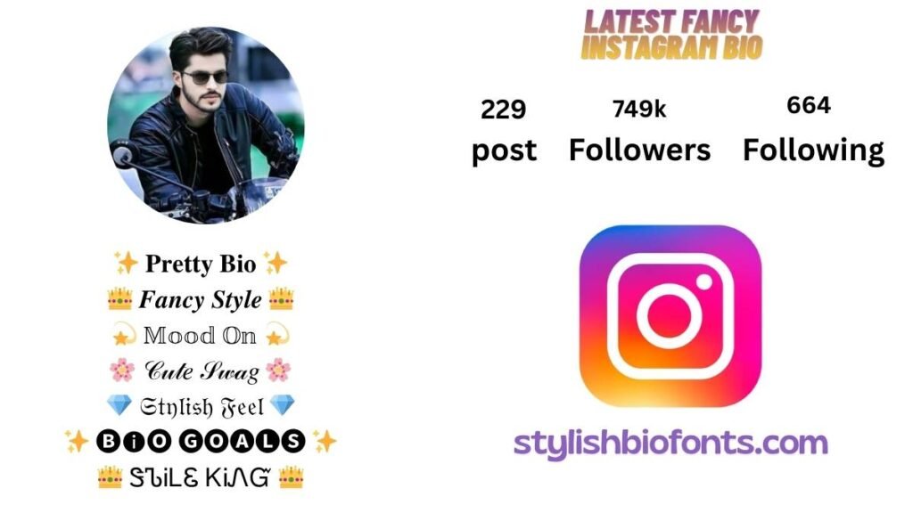 fancy instagram bio