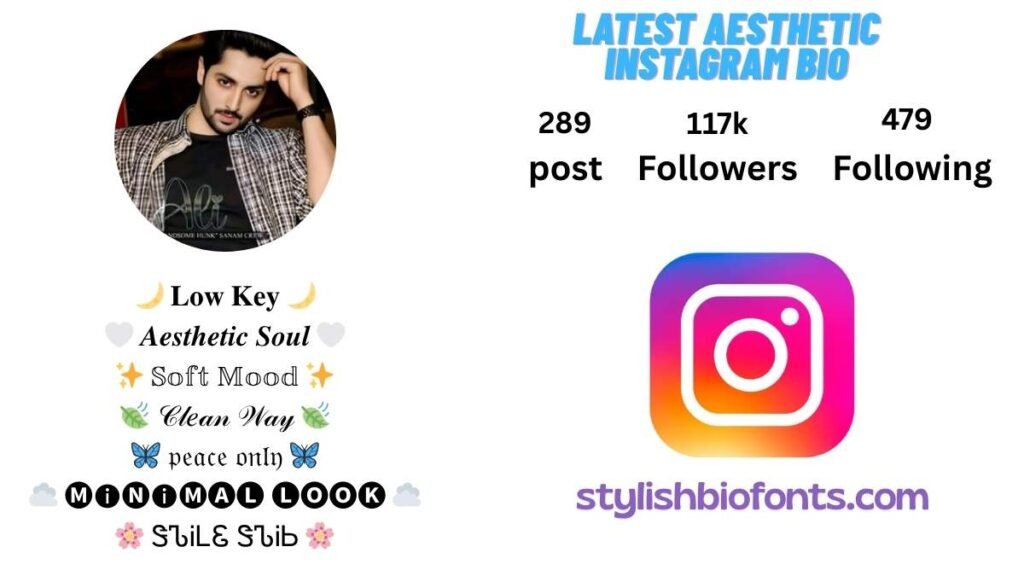 Aesthetic Fonts for Instagram Bio
