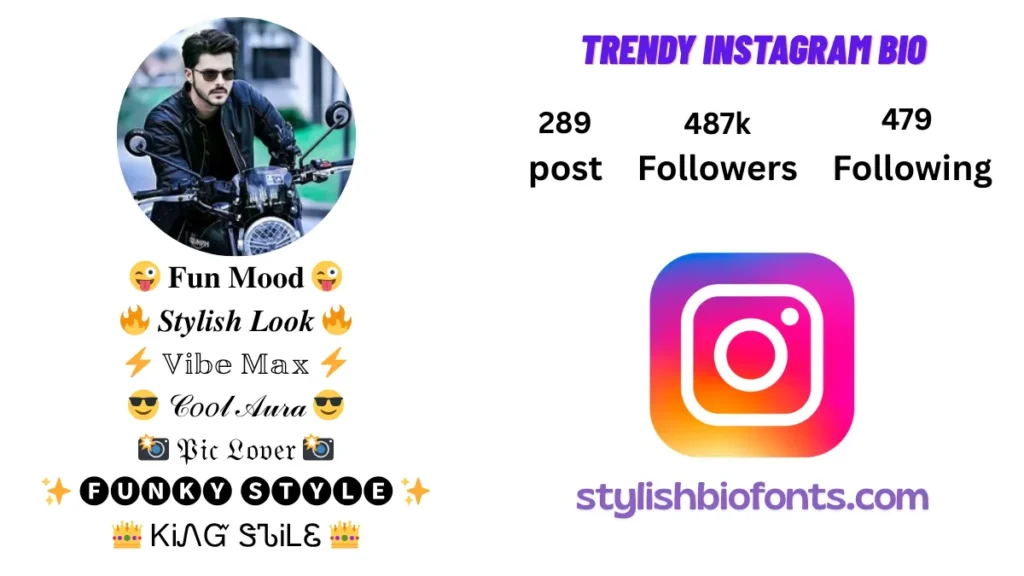 Instagram Bio Font