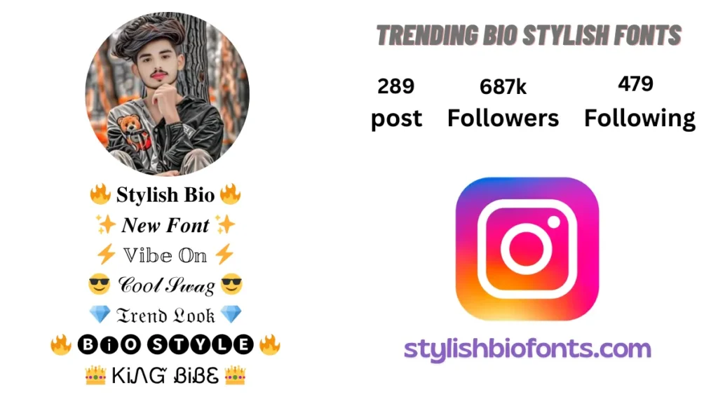Instagram Bio for Boys Stylish Font
