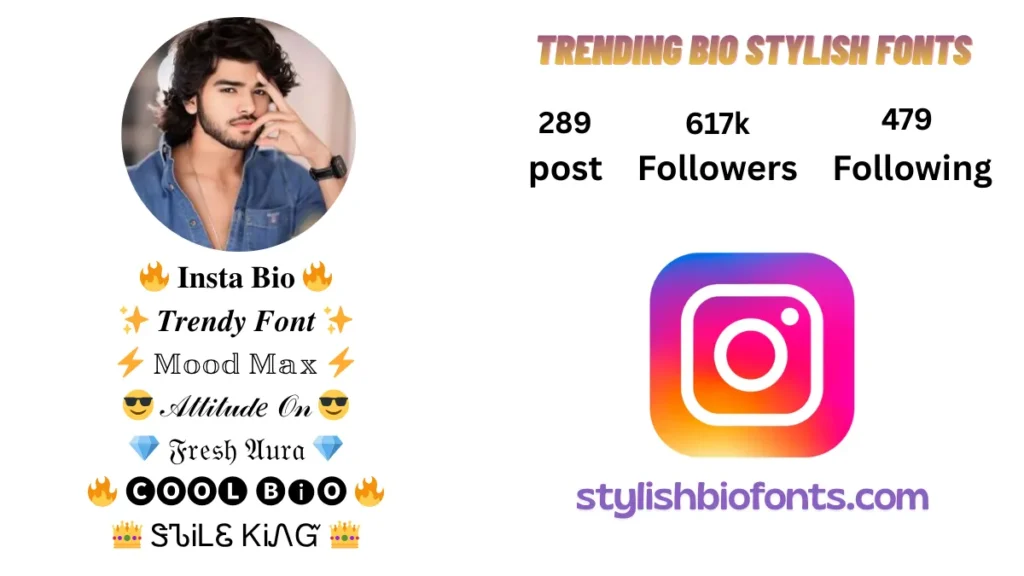 Instagram Bio for Boys Stylish Font