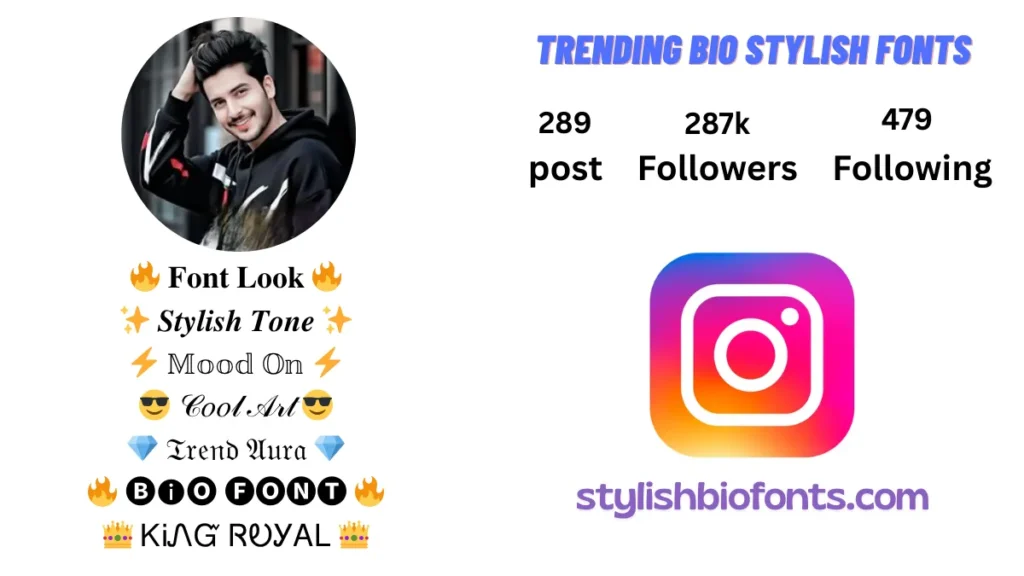 Instagram Bio for Boys Stylish Font