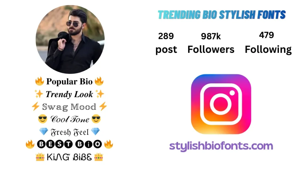 Instagram Bio for Boys Stylish Font