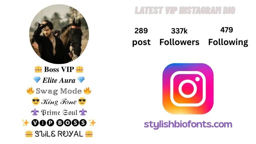 Stylish Font for Instagram Bio