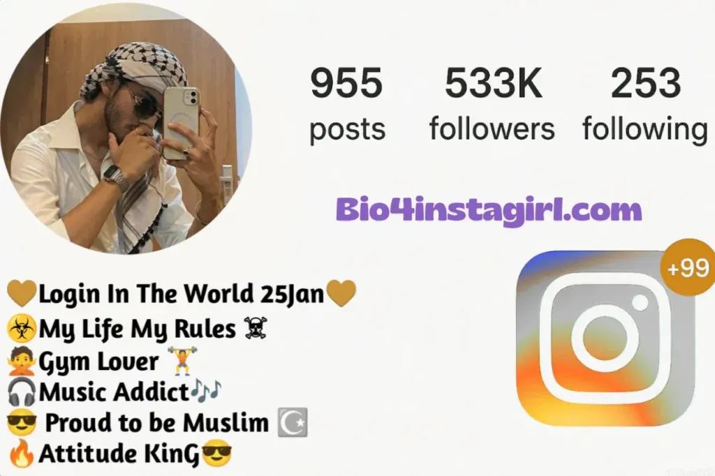 Instagram bio for boys attitude ideas