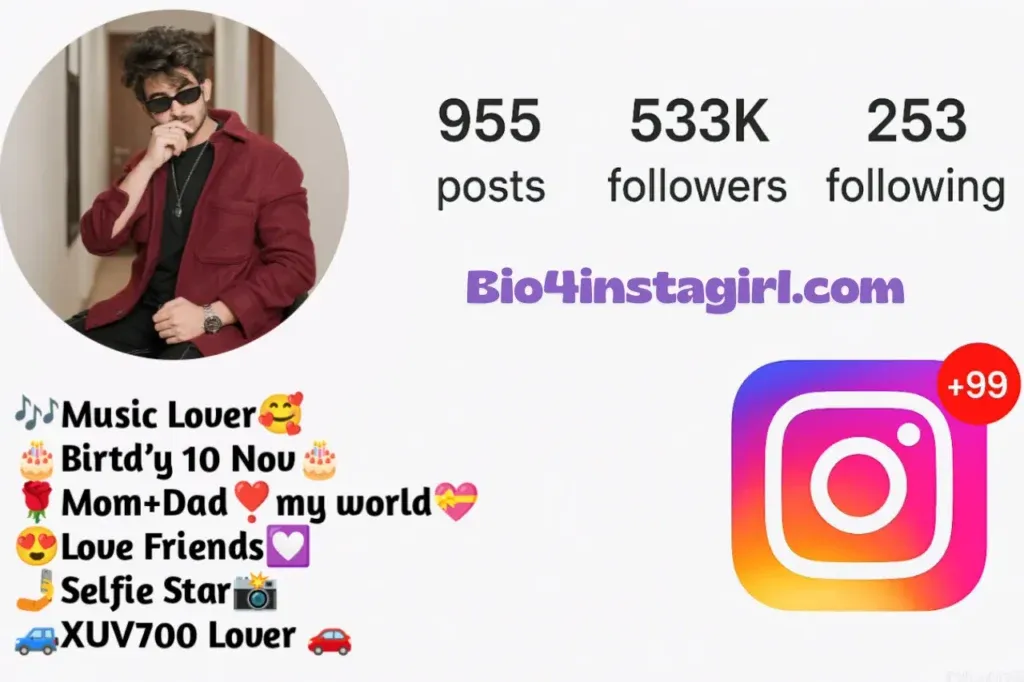 Attitude bio for Instagram for boys and girls
