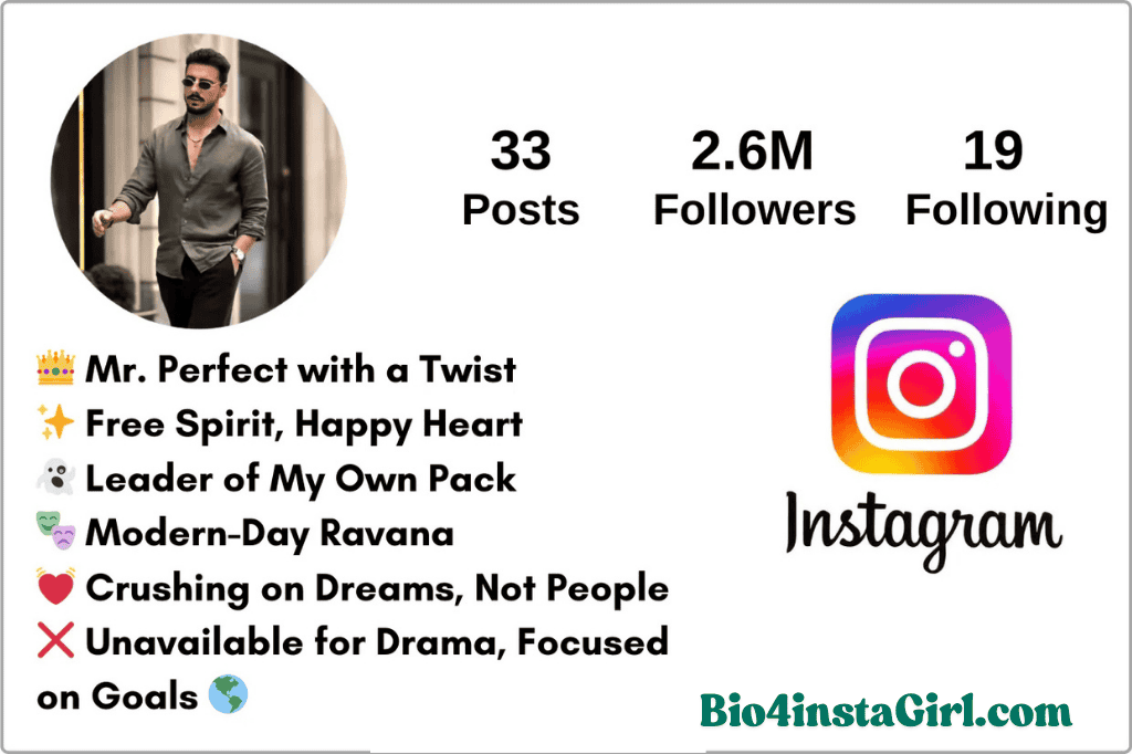 Funny Instagram bio for boys