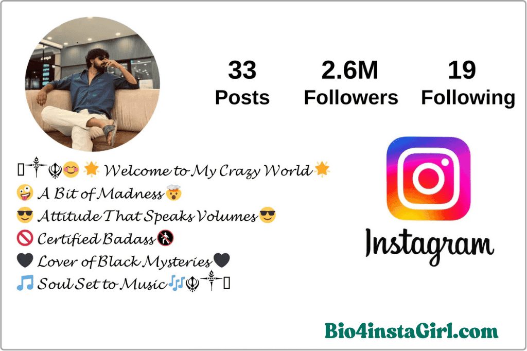 Stylish font Instagram bio for boys