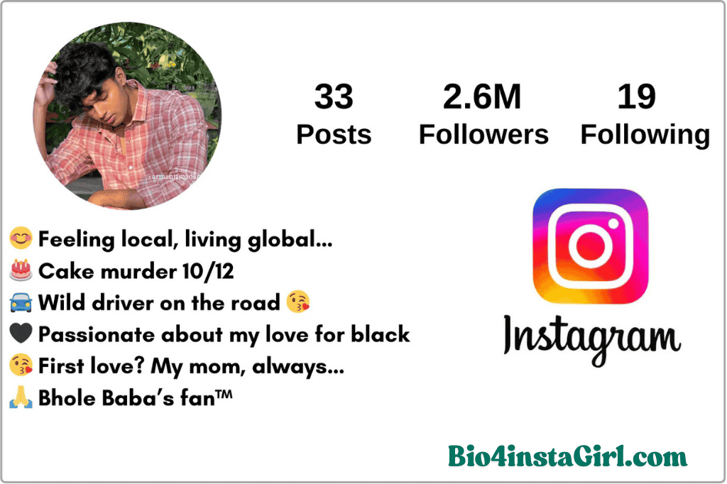 Stylish Instagram bio ideas