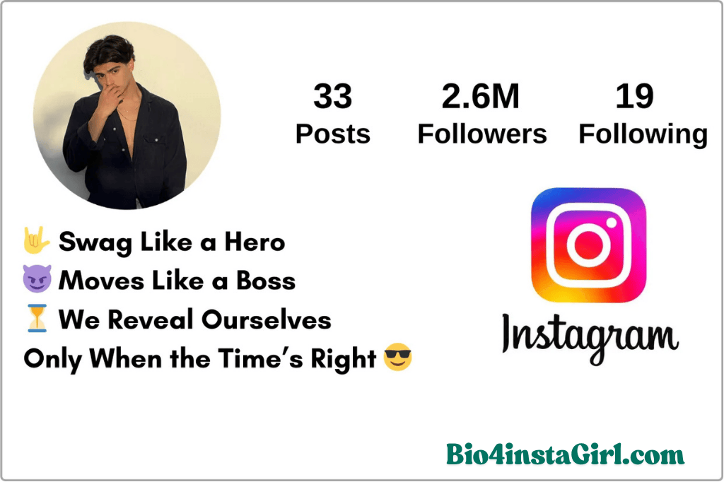 Instagram bio for boys in Hindi
